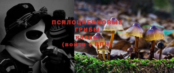 дживик Армянск