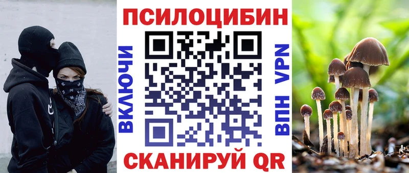 Псилоцибиновые грибы прущие грибы  Осинники 